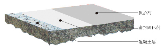 密封固化剂地坪结构图